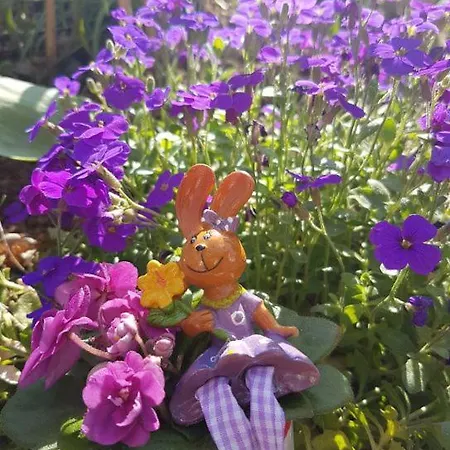 Apartmán An Den Kleeaeckern 4 Haus Mit Herz Ramberg