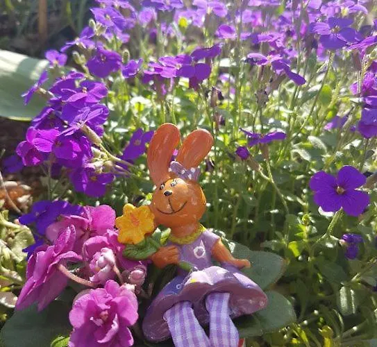 Apartament An Den Kleeaeckern 4 Haus Mit Herz Ramberg